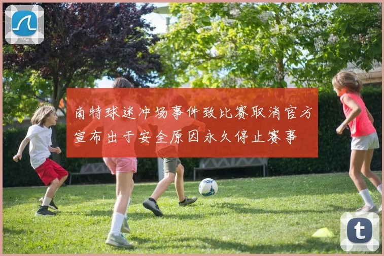 南特球迷冲场事件致比赛取消官方宣布出于安全原因永久停止赛事