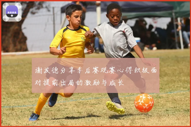 谢泼德分享季后赛观赛心得积极面对提前出局的激励与成长